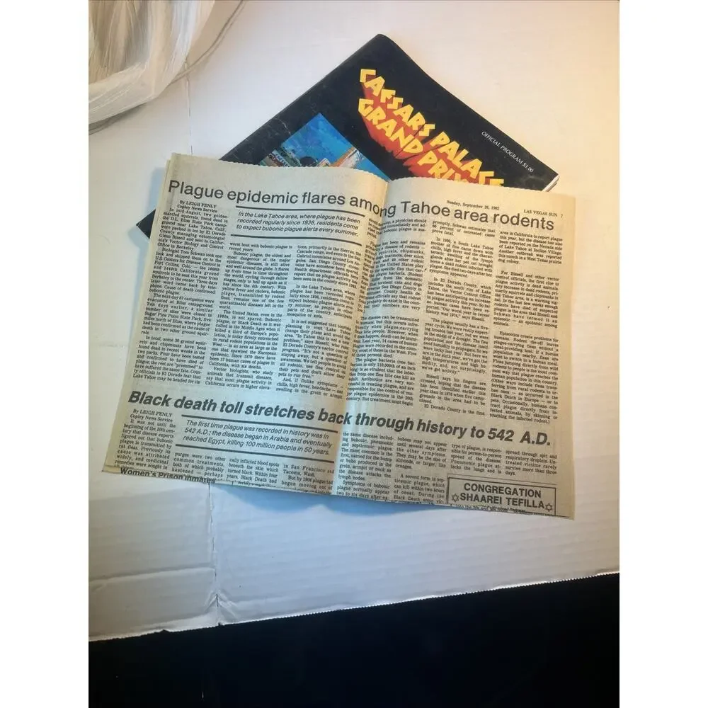 Metal Sign - 1982 Caesars Palace Parking Lot Racing Program - 10x14 inches